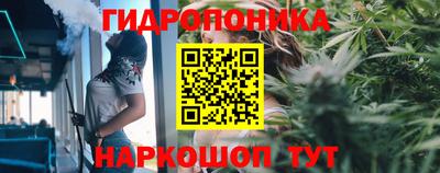 тгк Новозыбков