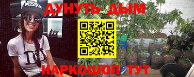 тгк Новозыбков