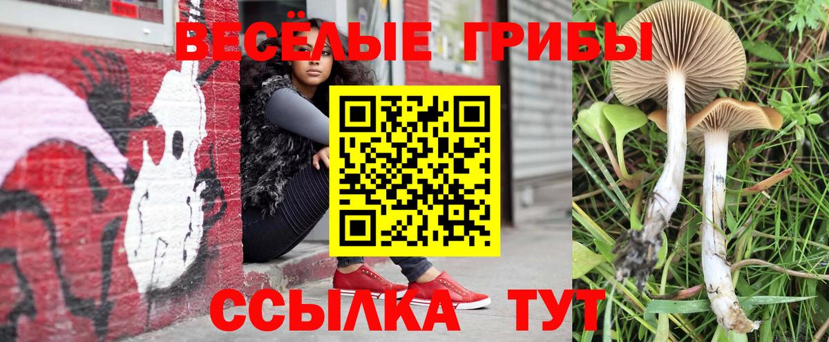 Ртищево  цены наркотик  Вход с VPN  Галлюциногенные грибы Magic Shrooms  Псилоцибиновые грибы прущие грибы 
