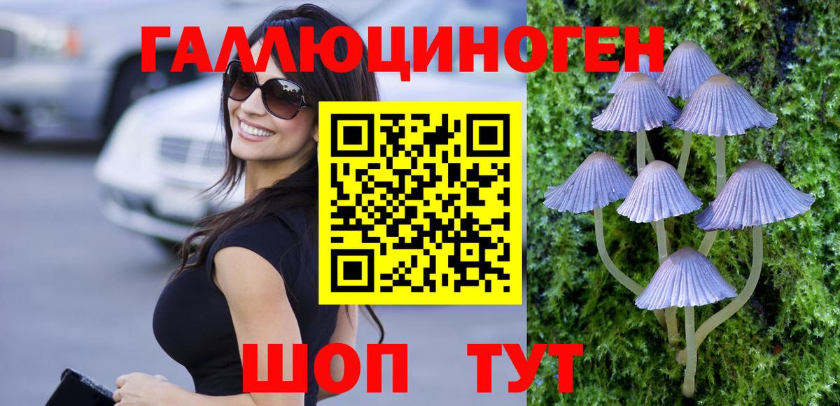 МЕФ Ртищево