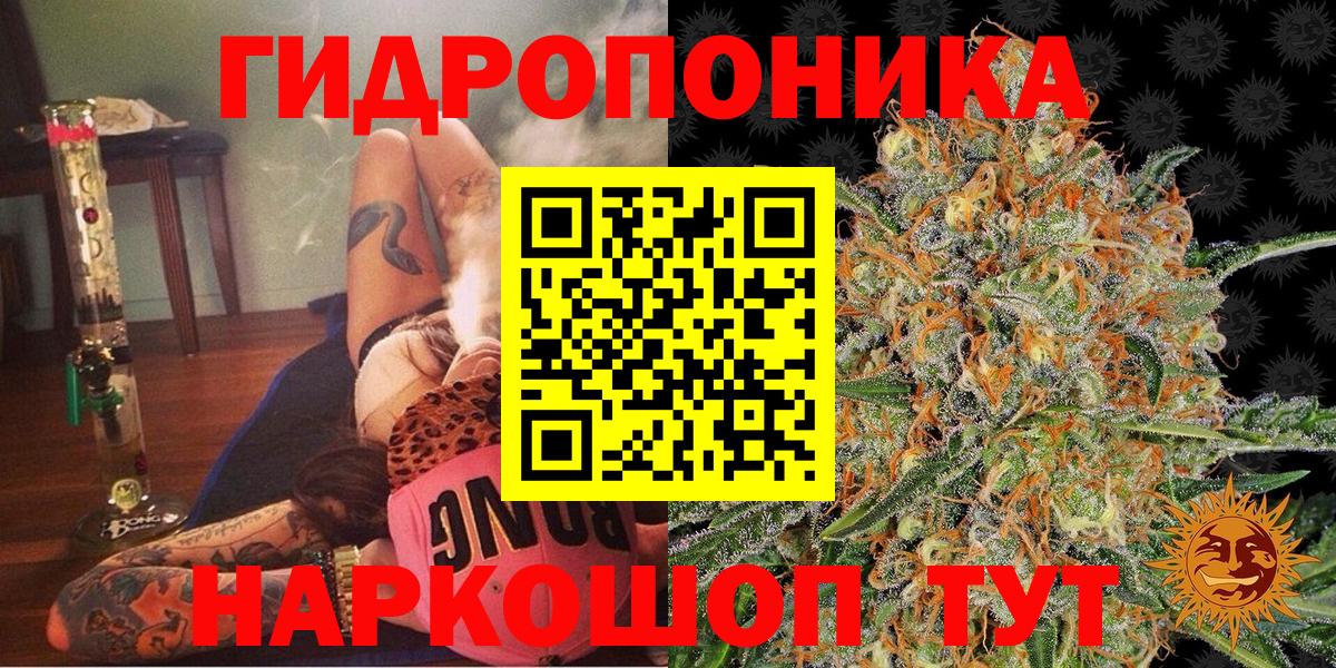 МАРИХУАНА Ganja  Бошки марихуана индика  Вход с VPN  Ртищево  Марихуана марихуана 